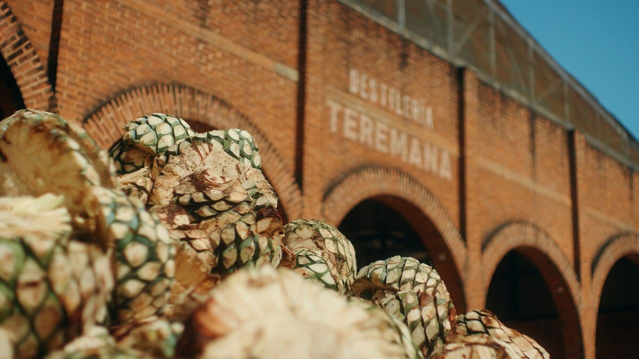 Teremana Distillery and piles of agave (PRNewsfoto/Teremana)