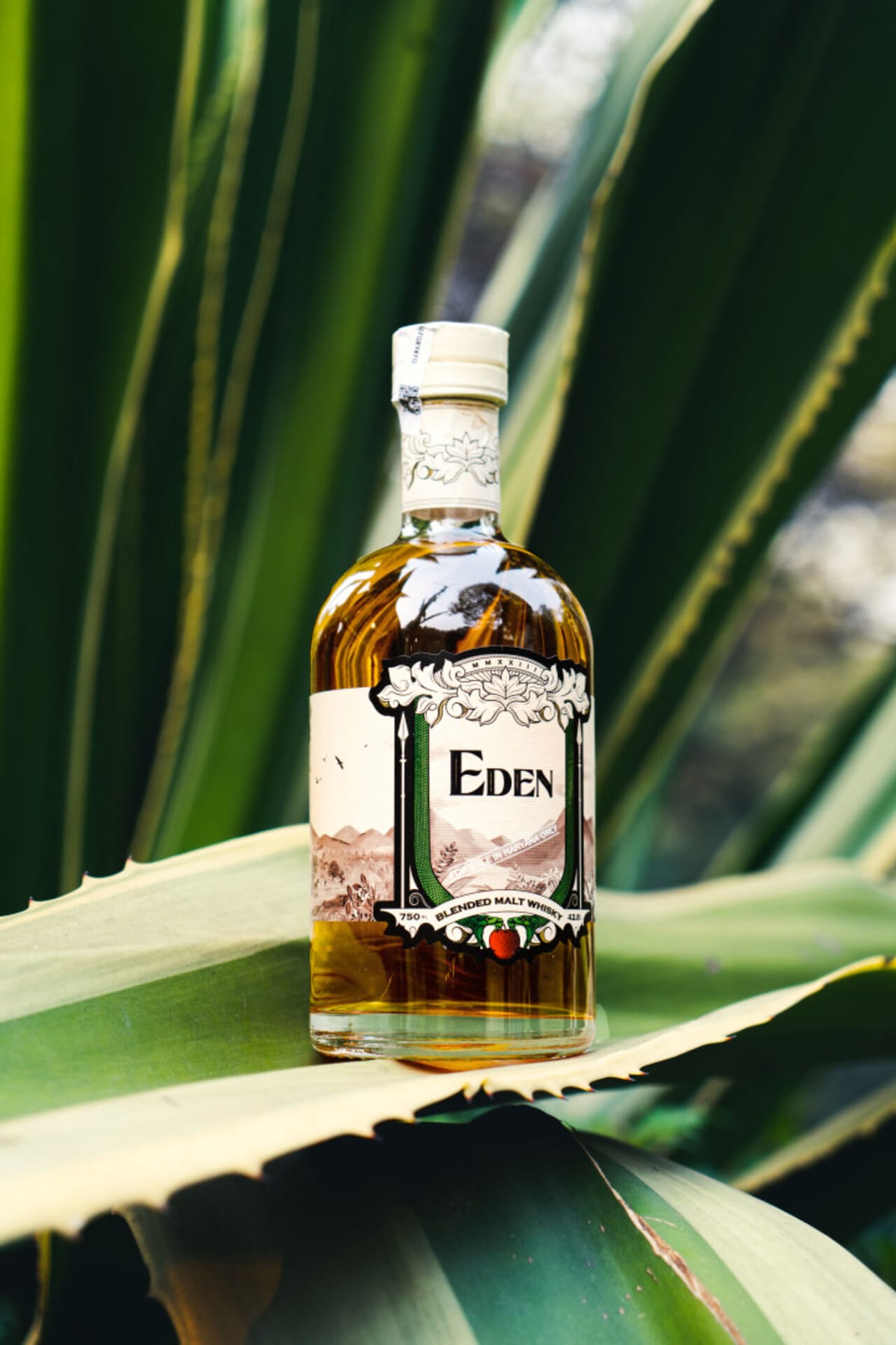 IndoBevs launches Eden Whisky exclusively for Indian market Post feature image