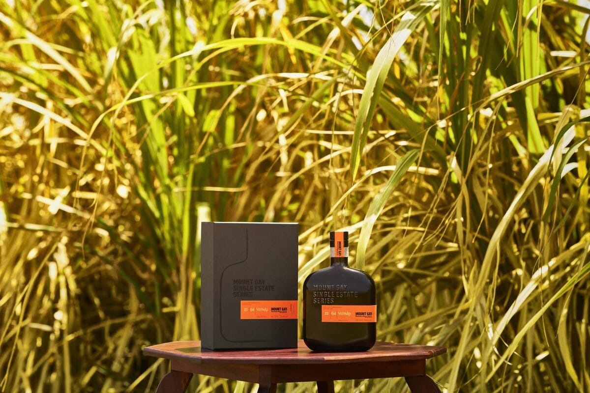 Mount Gay launches fourth Single Estate rum from 2019 harvest Post feature image