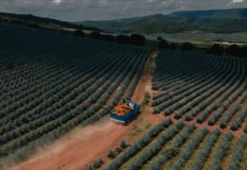 Tequila Don Julio unveils El Puente Eterno for Día de Muertos Post feature image